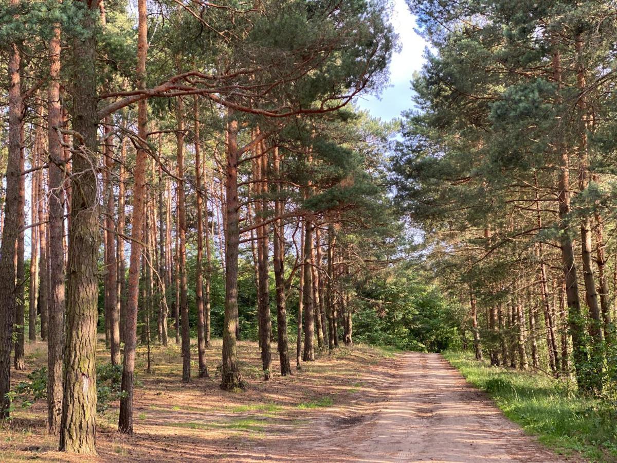 Komfortowy Nad Zalewem Sulejowskim *